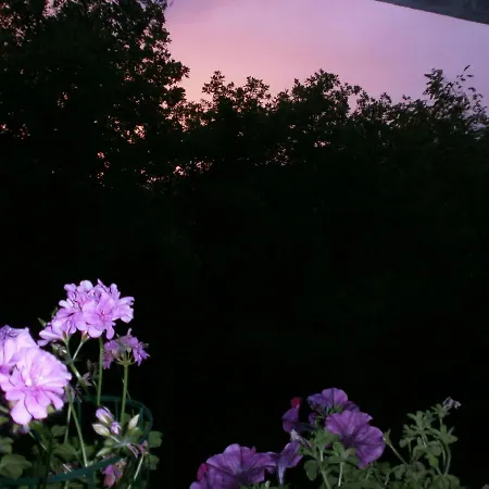 A Casa Di Stella * Perugia