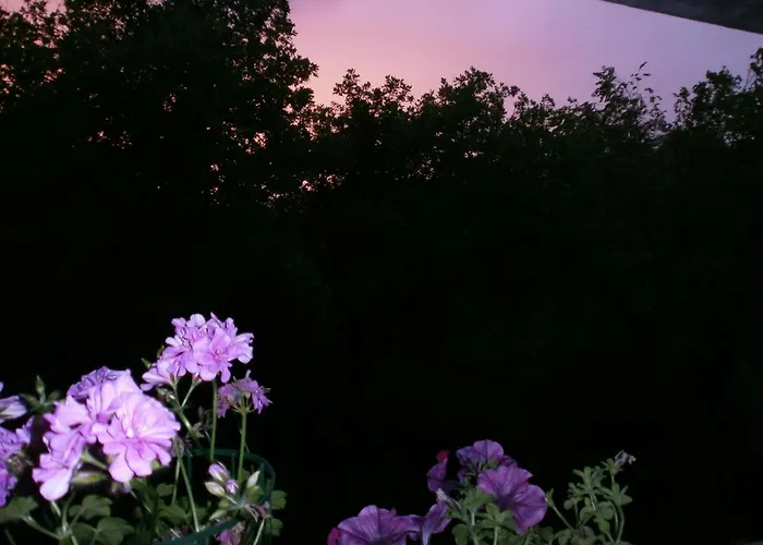 A Casa Di Stella * Perugia